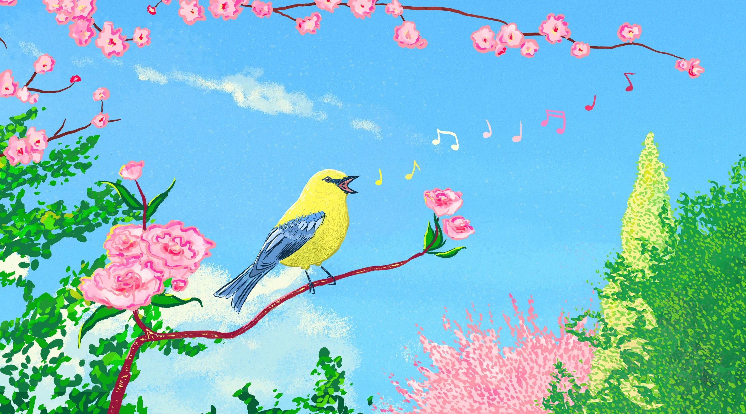 Bird Translation Guide: Decoding Tweets, Hoots, & Warbles — Twenty